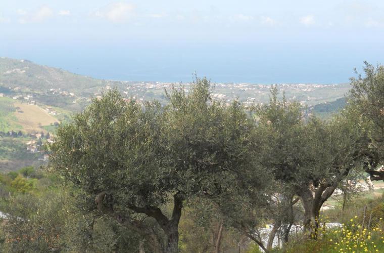 Maison d'hôtes Casale Il Gheppio à Laureana Cilento Extérieur photo